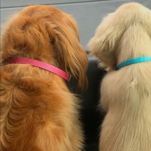 Meet your Posher, Karley